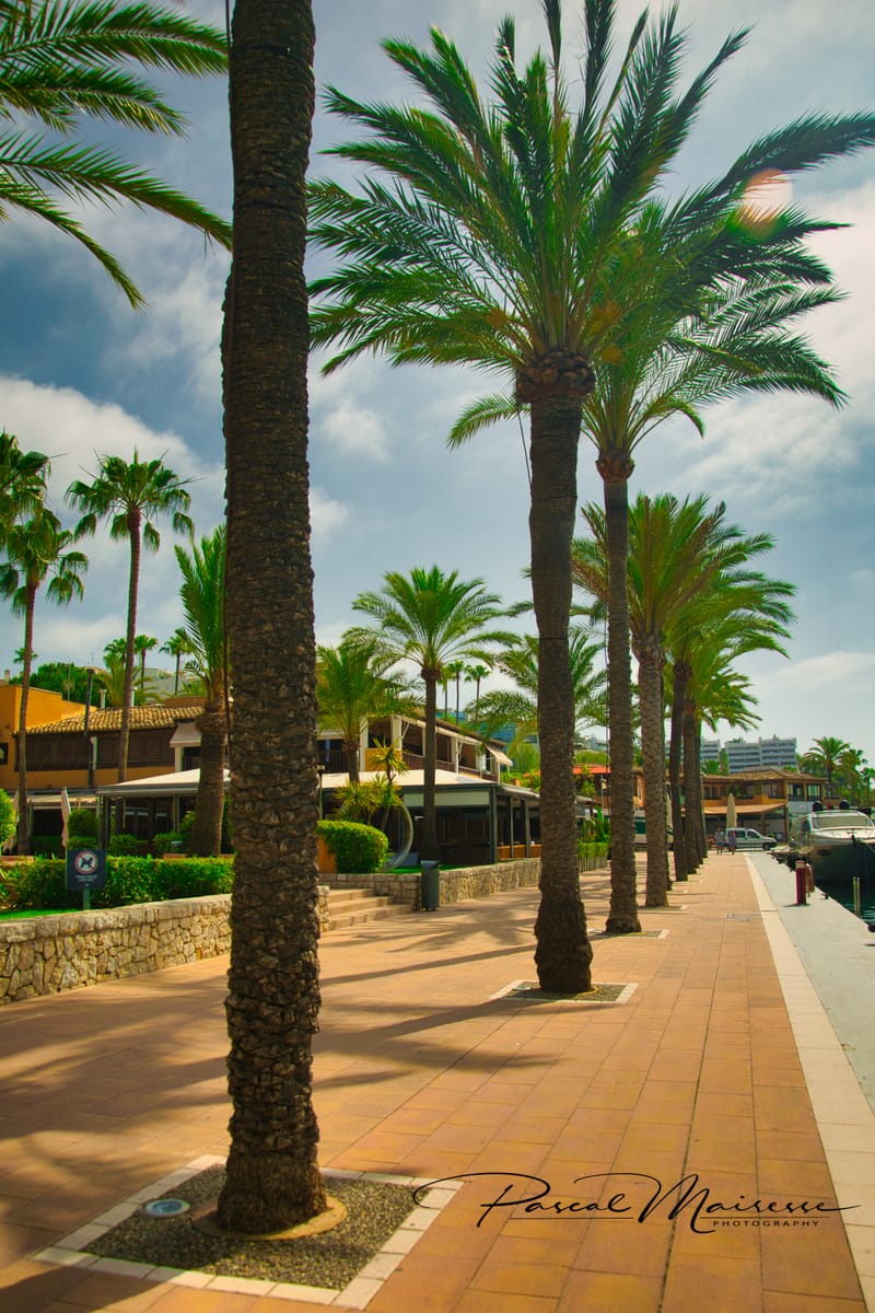 Mallorca palma