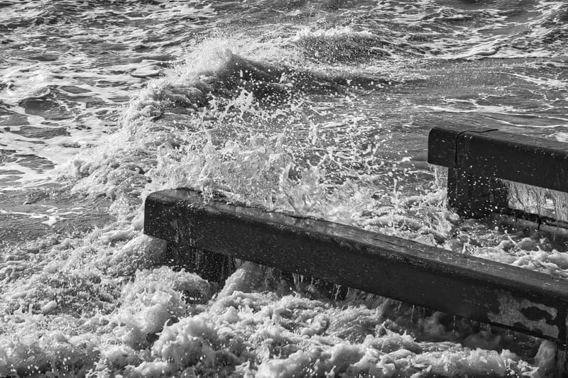 staketsel nieuwpoort