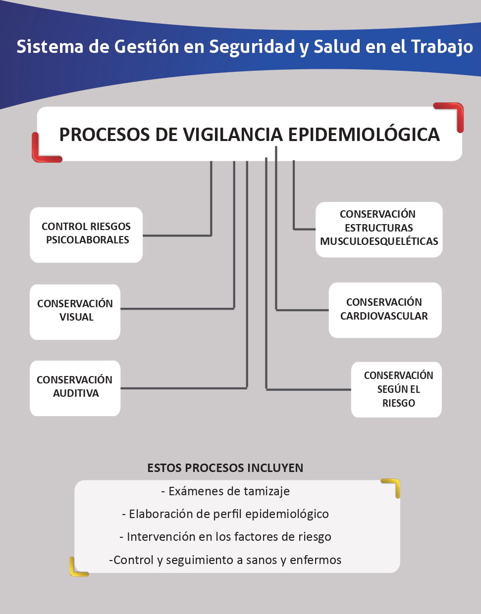 PORTAFOLIO DE SERVICIOS