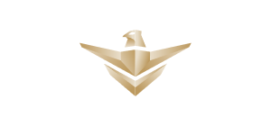 الشركة الوطنية للخدمات الأمنية ( سيف )