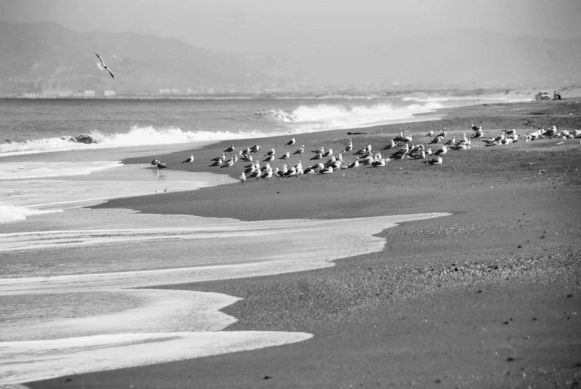 Sea