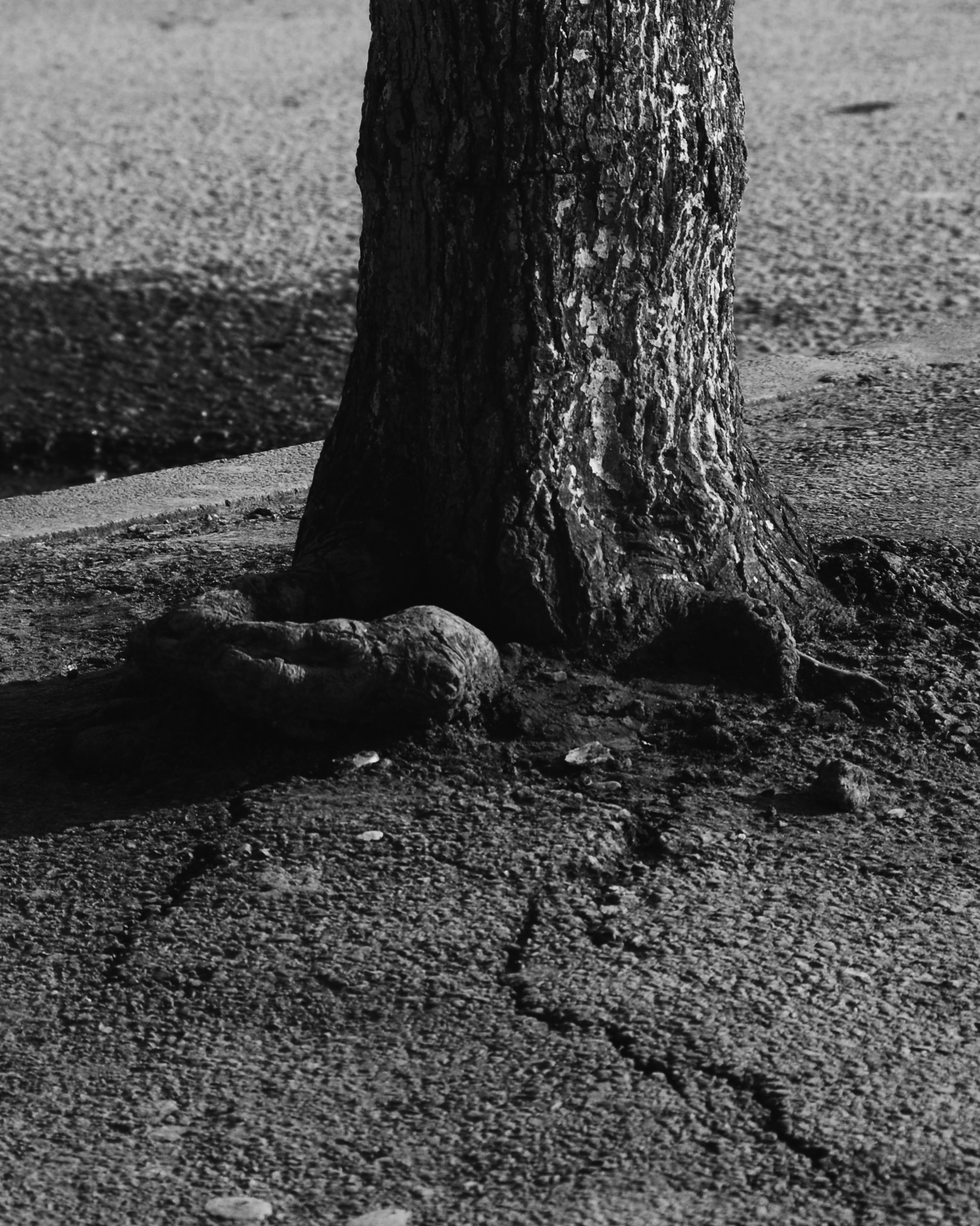 Streets