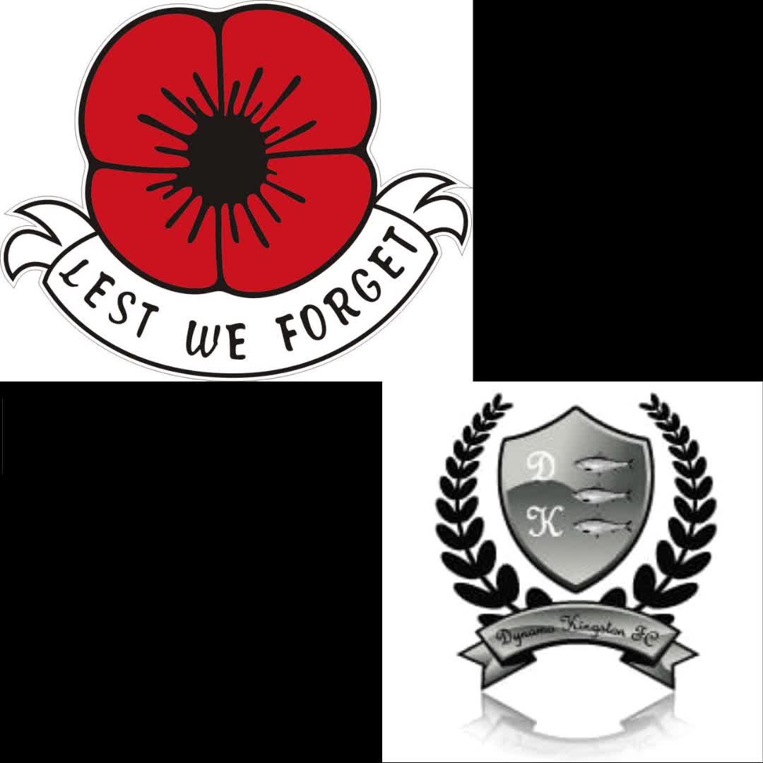 Remembrance Day Post