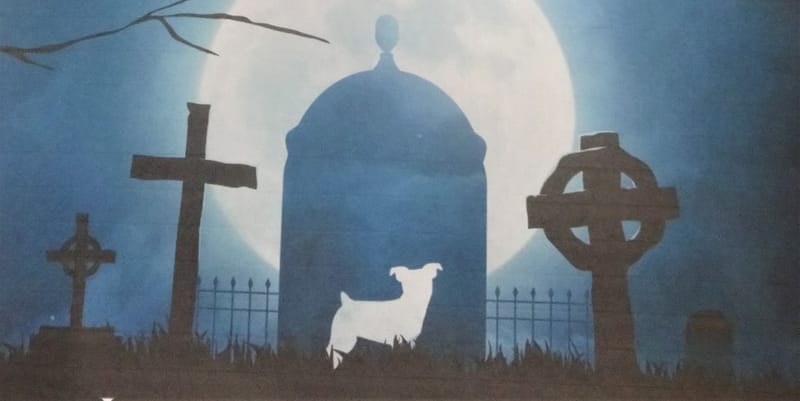 ANNOUNCING - "PJ AND THE PARANORMAL PURSUERS - THE MACKENZIE POLTERGEIST" by Jacqui Dempster Available for pre-order on Amazon.co.uk