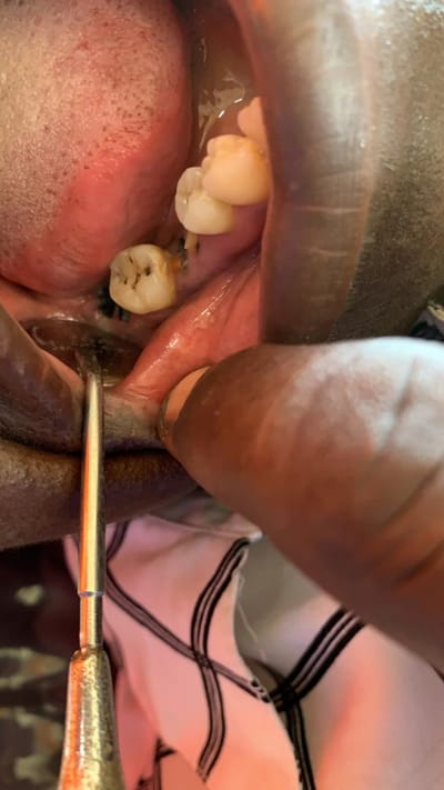 Medical / Dental  image