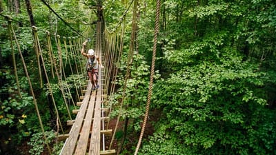 Top 7 Best Things to Do in Davidson, NC 28036