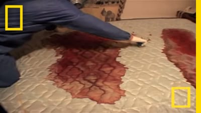 blood cleanup