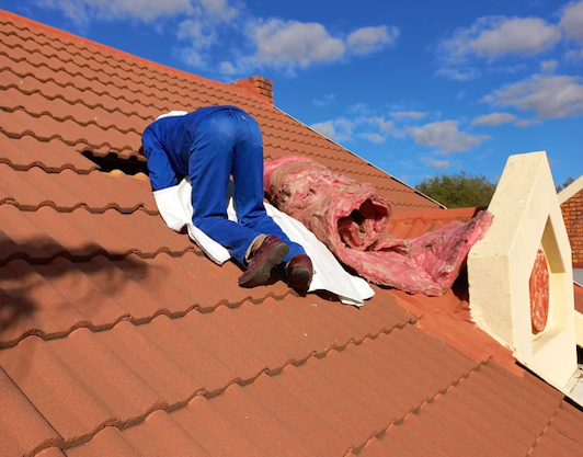 Ceiling & Roof Cleaning Services