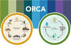 Orca Food Digester