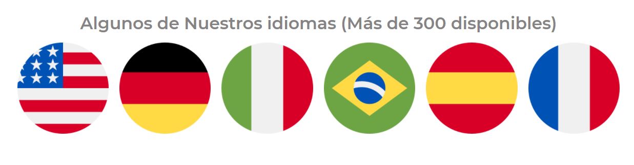 INTERNATIONAL SERVICES ONLINE - DESIGN 4