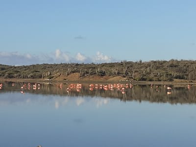 Umweltgerechter Urlaub – aber wie?
