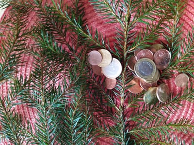 Green Economy; grün, grüner, green washing?