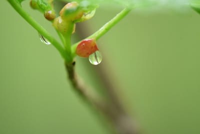 Suffzienz oder doch „Gönn dir“?