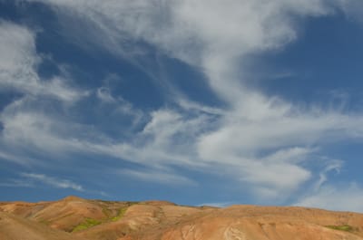 „Natur Natur sein lassen“