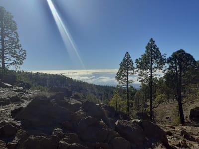 Mensch sein und Mensch werden in der von uns geschaffenen Welt