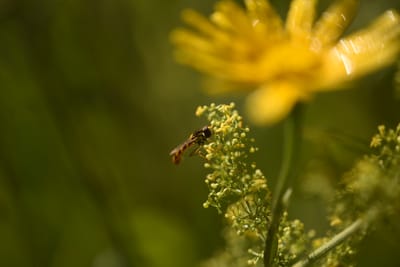 Nachhaltiger Atomstrom? Oder was bedeutet Nachhaltigkeit für dich?