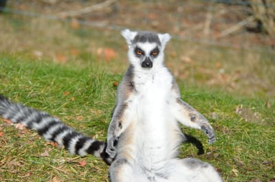 Maßhalten in einer Welt ohne Maß