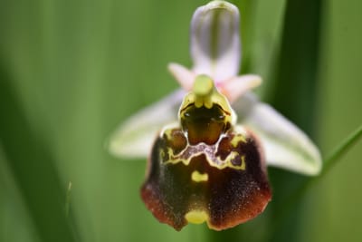 Naturschutzgebiet? Sch.. drauf!