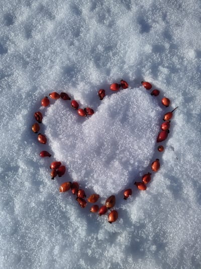 Warum Liebe weh tut,