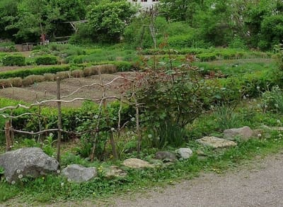 Naturkontakte: Waldkindergärten & Schulgärten