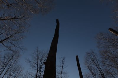 1, 2, 3, … der Klimawandel ist vorbei