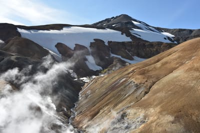 Geht es der Erde ohne Menschen besser?