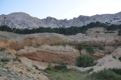 Klimaneutralität – das neue Greenwashing?