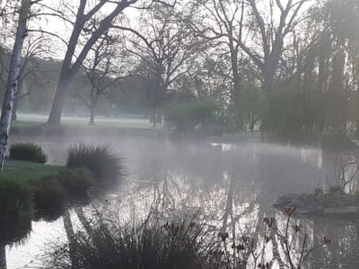 Earth Day 2023: mit Disziplin wohnen und leben?