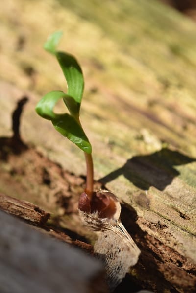 Zusatznutzen / Co-Benefits