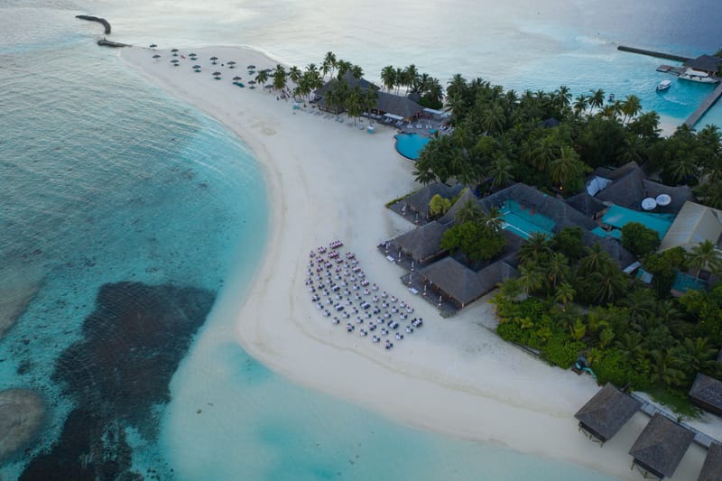 The Island