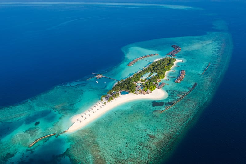 The Island