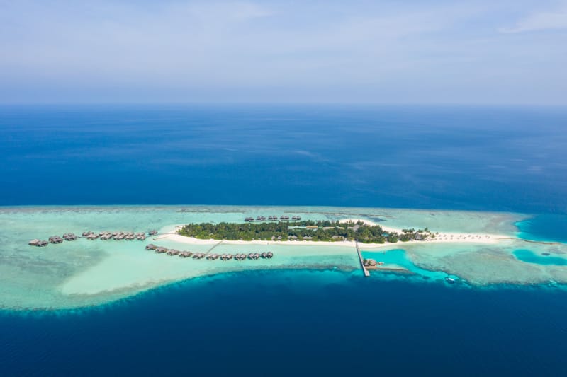 The Island