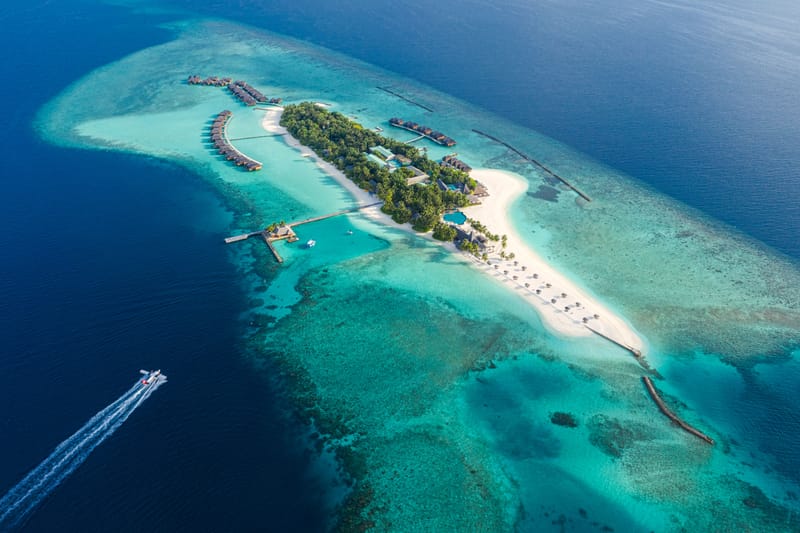 The Island