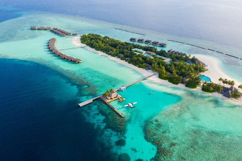 The Island