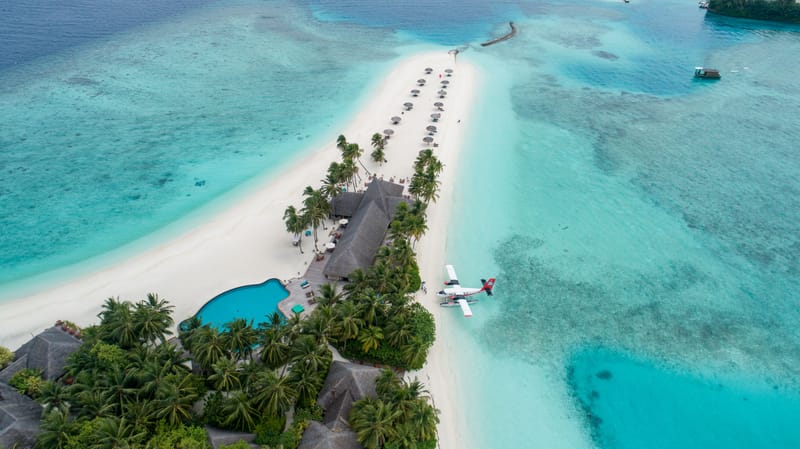The Island