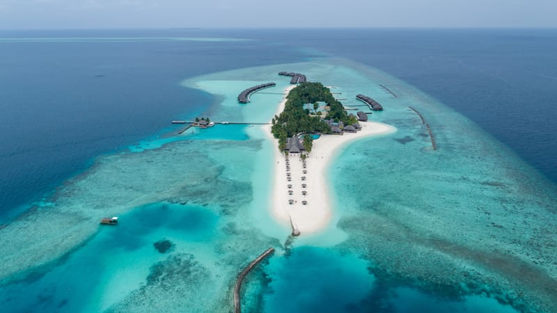 The Island