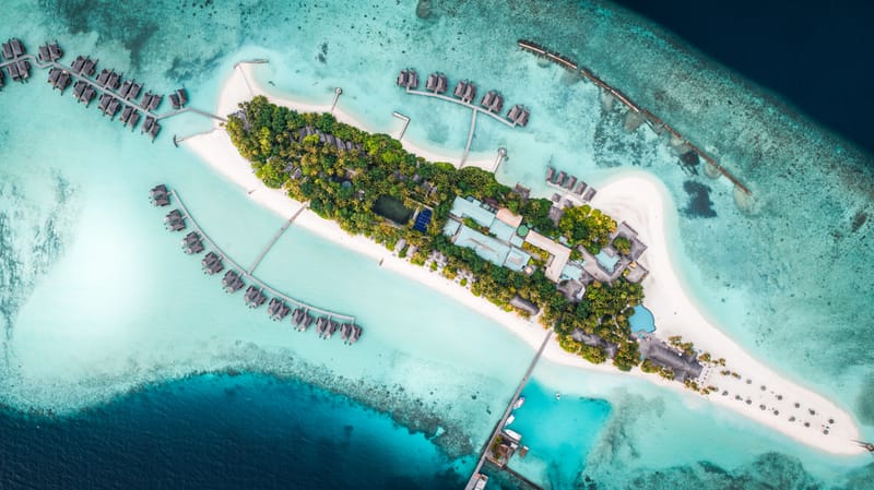 The Island