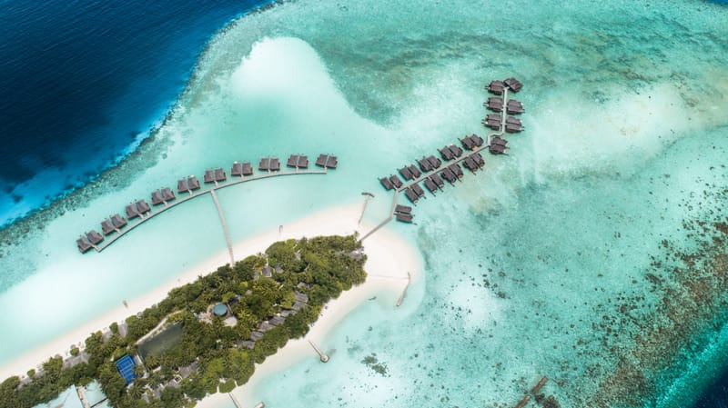 The Island