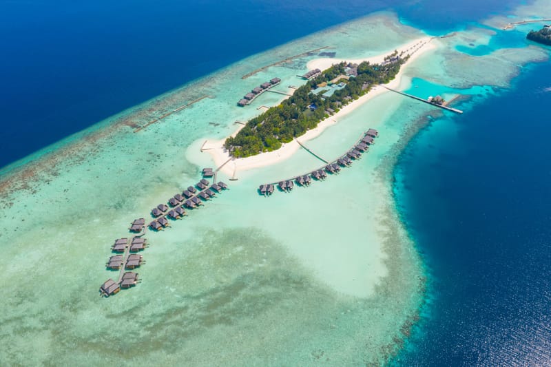 The Island
