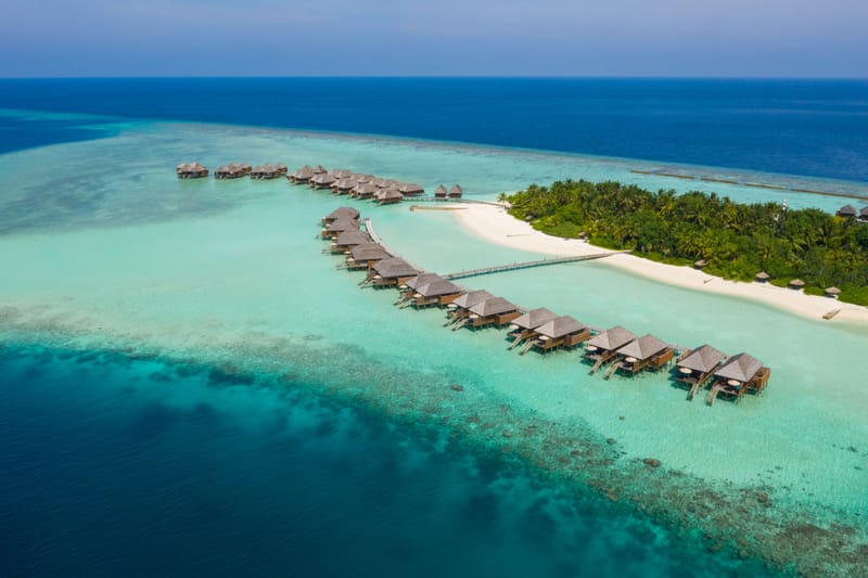 The Island