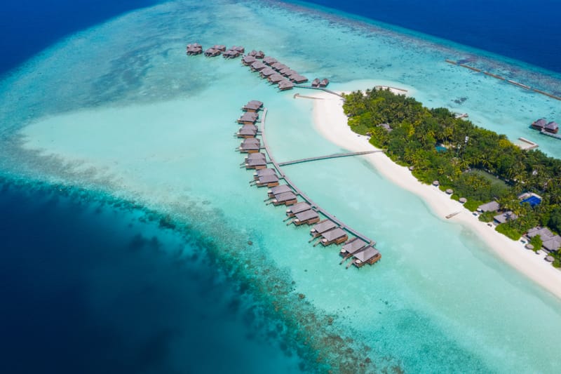 The Island