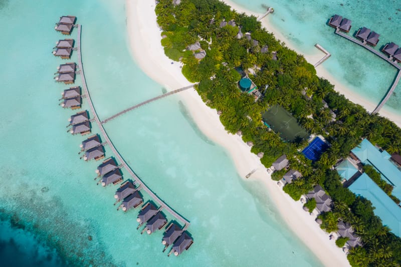 The Island