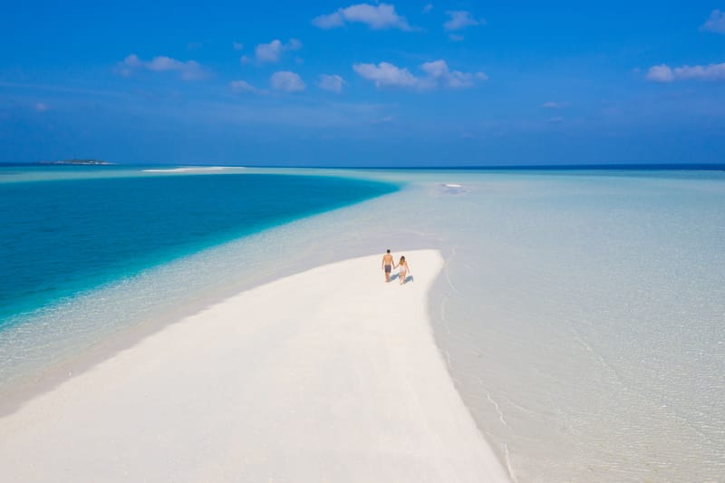 The Island