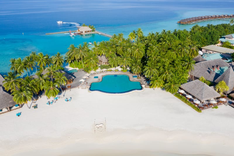 The Island