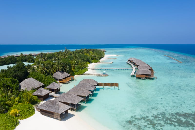 The Island