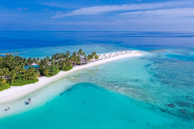 The Island