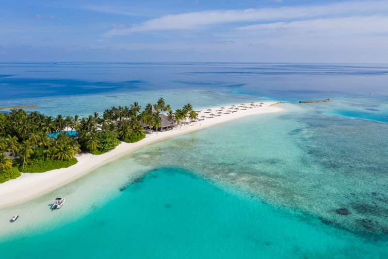 The Island