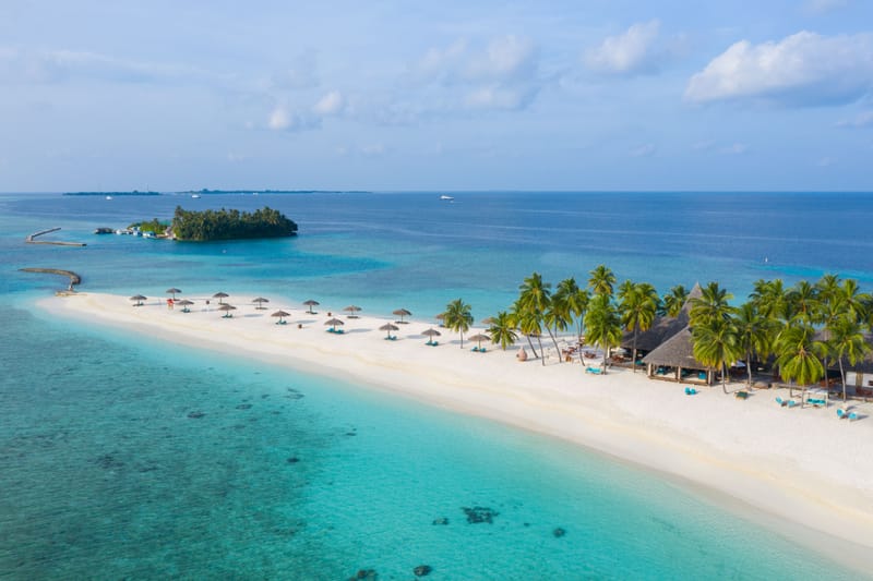 The Island