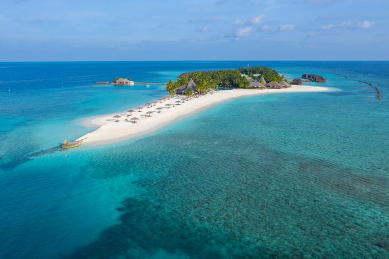 The Island