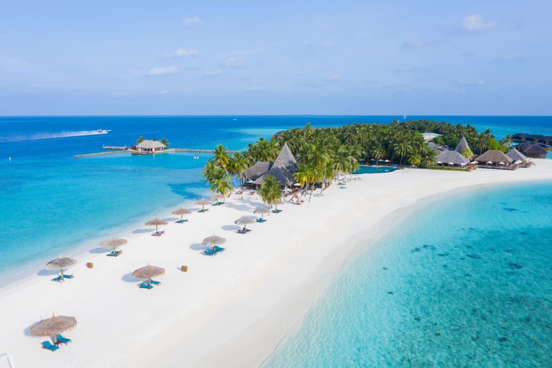 The Island